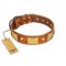 "Mutt The Daredevil" FDT Artisan Tan Leather Siberian Husky Collar with Old Bronze-like Skulls and Plates