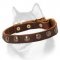 Deluxe Leather Dog Collar for Siberian Husky with Brass Adornment