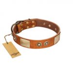 "Perfect Blend" FDT Artisan Tan Leather Siberian Husky Collar 1 1/2 inch (40 mm) wide