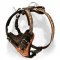 Adjustable Leather Harness for Siberian Husky with Unique Painting