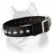 Fashion Nylon Dog Collar for Siberian Husky