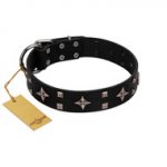 "Snappy Dresser" FDT Artisan Black Leather Siberian Husky Collar Adorned with Stars and Tiny Squares
