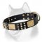 Designer Leather Dog Collar with Plates and Spikes for Siberian Husky