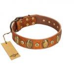"Crystal Sand" FDT Artisan Tan Leather Siberian Husky Collar with Vintage Looking Oval and Round Studs