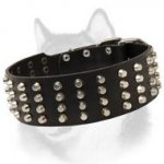 2 inch Wide Studded Leather Siberian Husky Collar