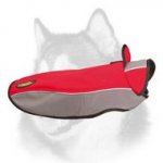 All Weather Nylon Coat for your Siberian Husky's Pleasant Walks