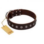 "Spring Flower" Stylish FDT Artisan Brown Leather Siberian Husky Collar for Comfy Walks