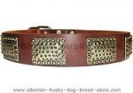 Luxury Leather Dog Collar for Siberian Husky