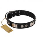 "Grand Wear" FDT Artisan Black Leather Siberian Husky Collar with Shining Plates and Spiked Studs