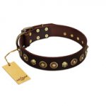 "Street Fashion" FDT Artisan Brown Leather Siberian Husky Collar Adorned with Circles and Skulls
