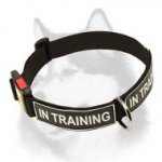 All Weather Nylon Collar with Patches