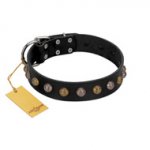 "Inky Prettification" FDT Artisan Black Leather Siberian Husky Collar with One Row of Studs
