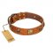 "Knights Templar" FDT Artisan Tan Leather Siberian Husky Collar with Skulls and Crossbones Combined with Squares