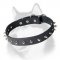 Fashion Spiked Leather Dog Collar for Siberian Husky