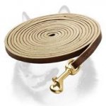 Extra Long Leather Dog Leash for Siberian Husky