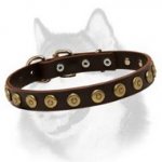 Superb Leather Siberian Husky Collar With Doted Circles