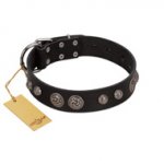 "Tricky Ricky" FDT Artisan Black Leather Siberian Husky Collar Adorned with Silver-Like Conchos