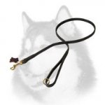 Handcrafted Leather Dog Leash for Siberian Husky