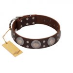 "Imperial Legate" FDT Artisan Brown Leather Siberian Husky Collar with Big Round Plates