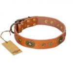"Dandy Pet" FDT Artisan Handcrafted Tan Leather Siberian Husky Collar