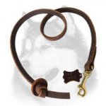 Dog Training Tabs - Leather Leash Tab for Siberian Husky
