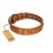 "Sand of Time" FDT Artisan Tan Leather Siberian Husky Collar with Old Bronze-like Studs and Plates