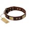 "Shining Armour" FDT Artisan Brown Leather Siberian Husky Collar with Decorations