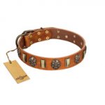 "Strike of Rock" FDT Artisan Tan Leather Siberian Husky Collar with Plates and Medallions with Skulls