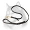 Handcrafted Leather Dog Leash for Siberian Husky
