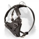 Super Quality Leather Harness for Siberian Husky