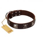 "Nut-Brown Finery" Embellished FDT Artisan Brown Leather Siberian Husky Collar with Chrome Plated Crossbones and Plates