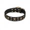 'Jolly Rojer' FDT Artisan Siberian Husky Leather Dog Collar with Pirate Skulls and Studs