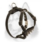 Leather Siberian Husky Harness with Spiked Chest Plate