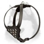 Studded Leather Siberian Husky Puppy Harness for Walking