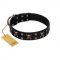 "Black Jack" Stylish Handmade FDT Artisan Black Leather Siberian Husky Collar