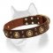 Siberian Husky Collar with Conchos for Walking in Style