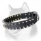 Double Row Spiked Dog Collar for Siberian Husky