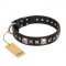 'Space Walk' FDT Artisan Black Leather Siberian Husky Dog Collar with Adornments