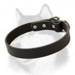 Narrow Smooth Leather Dog Collar for Siberian Husky