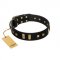 "Fit for Royalty" FDT Artisan Black Leather Siberian Husky Collar with Plates and Small Square Studs