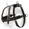 Tracking/Pulling Leather Harness for Siberian Husky