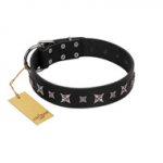 "Polar Lights" Designer FDT Artisan Black Leather Siberian Husky Collar with Silver-Like Studs