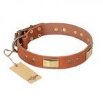 "Enchanting Spectacle" FDT Artisan Tan Leather Siberian Husky Collar with Old Bronze Look Plates and Round Studs