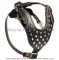 Stylish Studded Leather Dog Harness for Siberian Husky