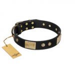 "Antique Gloss" FDT Artisan Black Leather Siberian Husky Collar with Bronze-like Plates and Small Studs