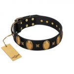 "Doggie Woggie" Designer Handmade FDT Artisan Black Leather Siberian Husky Collar with Ovals and Studs