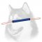 Puppy Training Pocket Toy with Handle for young Siberian Husky