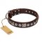 "Pierian spring" FDT Artisan Brown Leather Siberian Husky Collar with Silvery Decorations