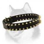 Luxurious Spiked Dog Collar for Siberian Husky