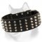 2 inch Wide Studded Leather Siberian Husky Collar
